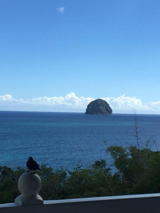 Studio Vue Mer Et Rocher Du Diamant Antilles Le Diamant Dış mekan fotoğraf